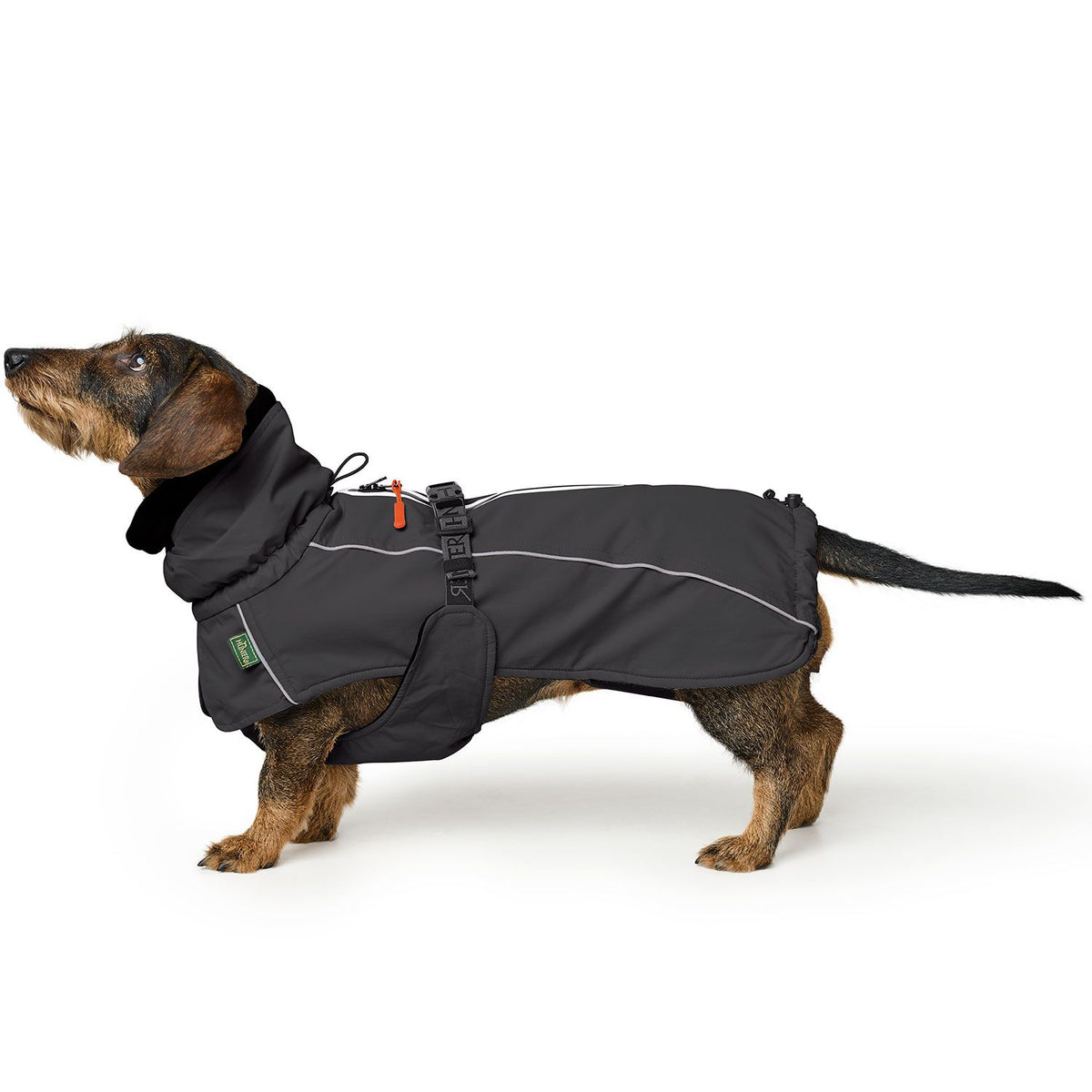Hunter Mantel Nordby Dachshund schwarz
