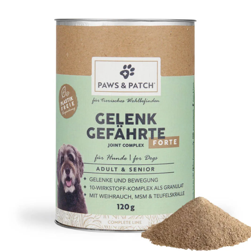 Paws & Patch GELENK GEFÄHRTE für Hunde Junior & Adult