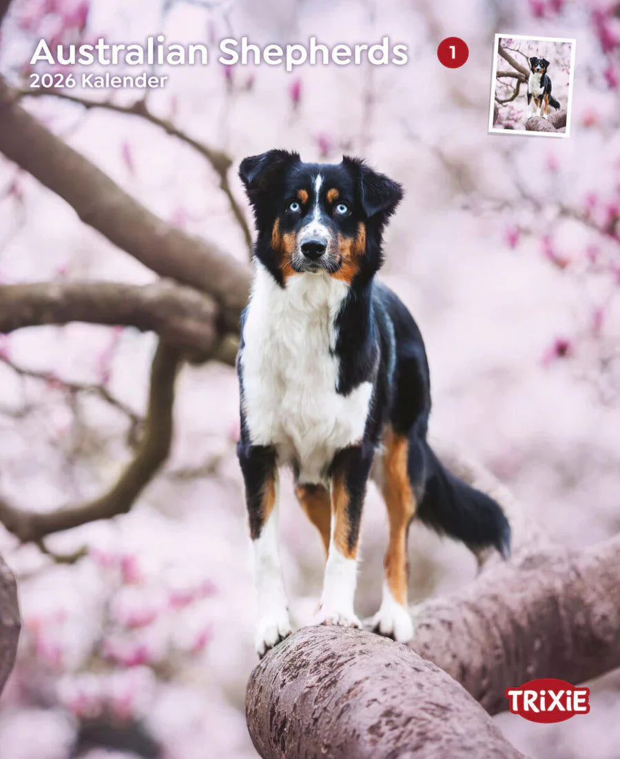 Kalender Australian Shepherds