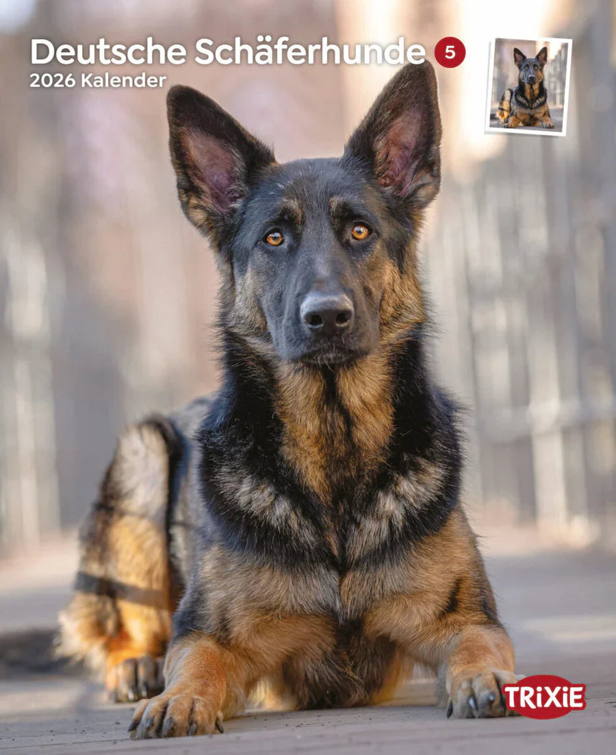 Kalender Deutsche Schäferhunde
