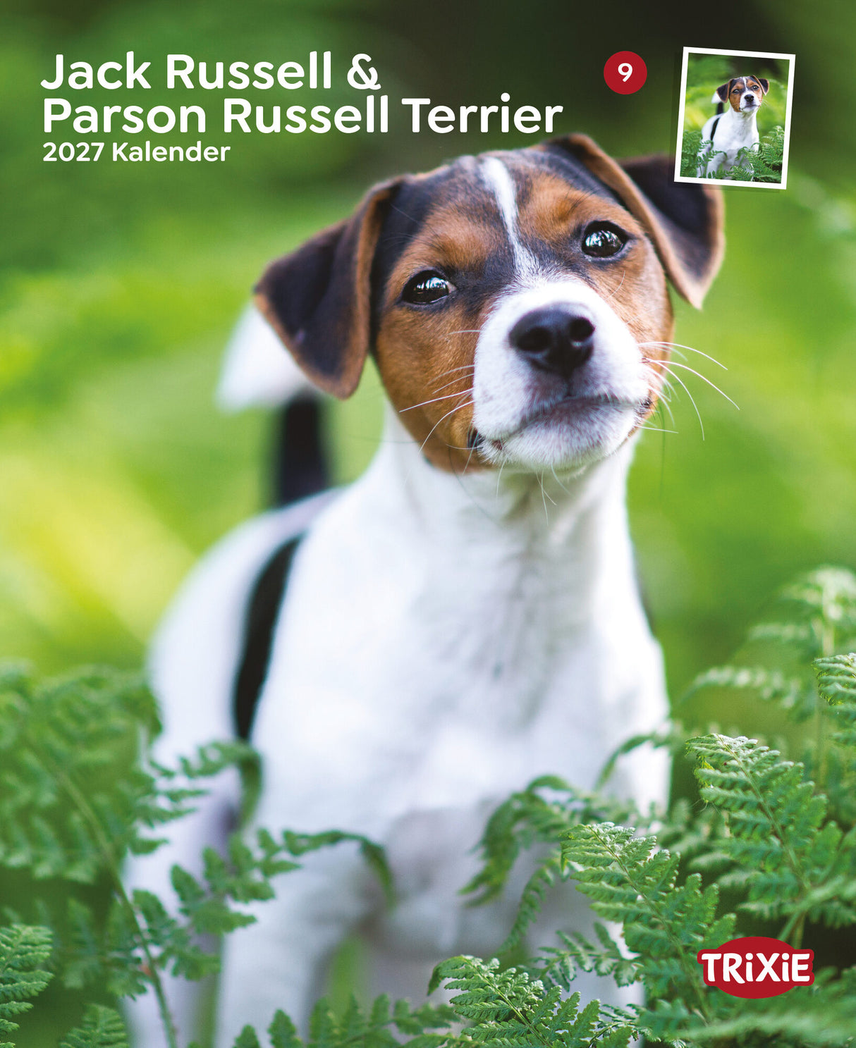 Kalender Jack Russell & Parson Russell Terrier 2027