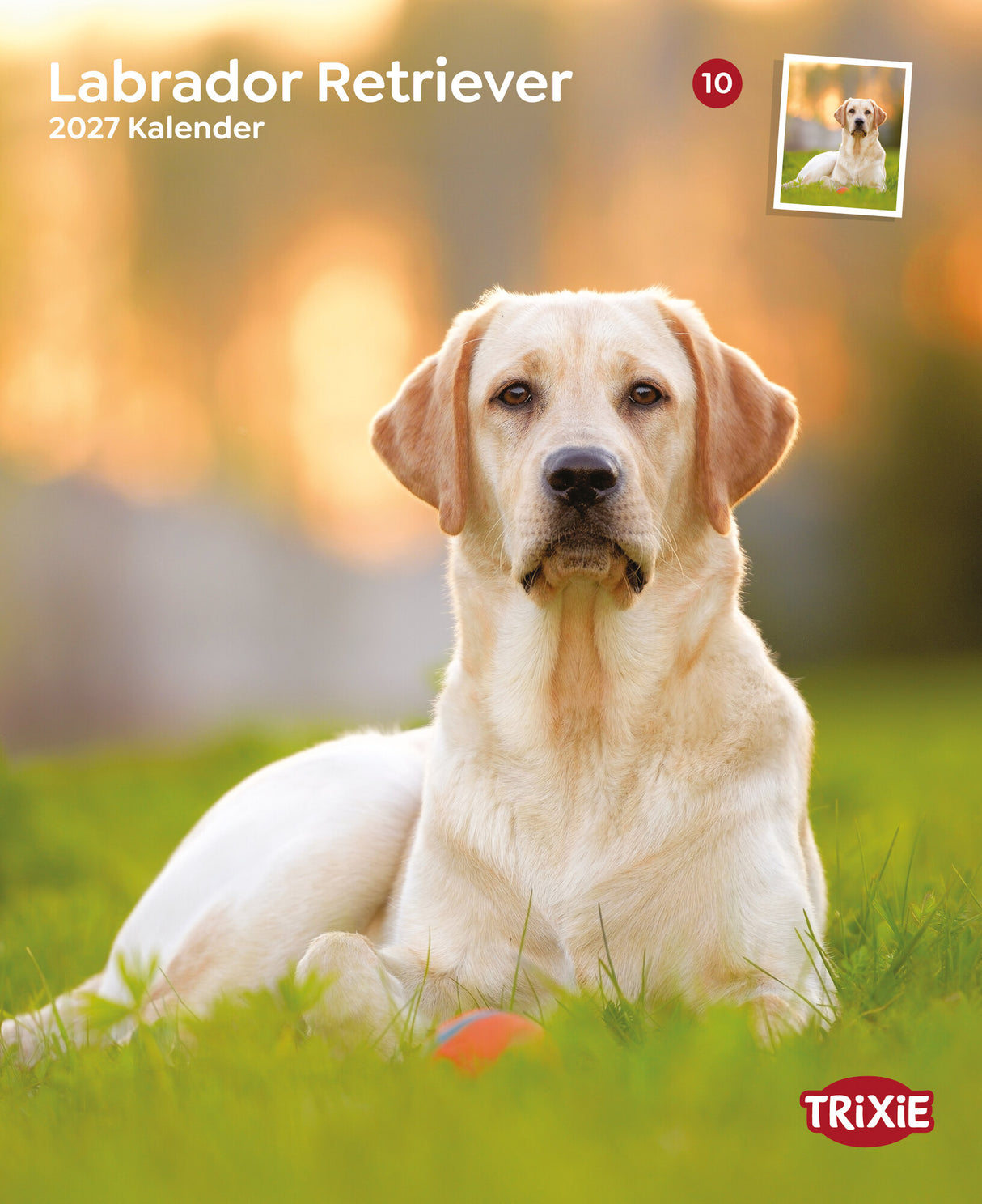 Kalender Labrador Retriever 2027