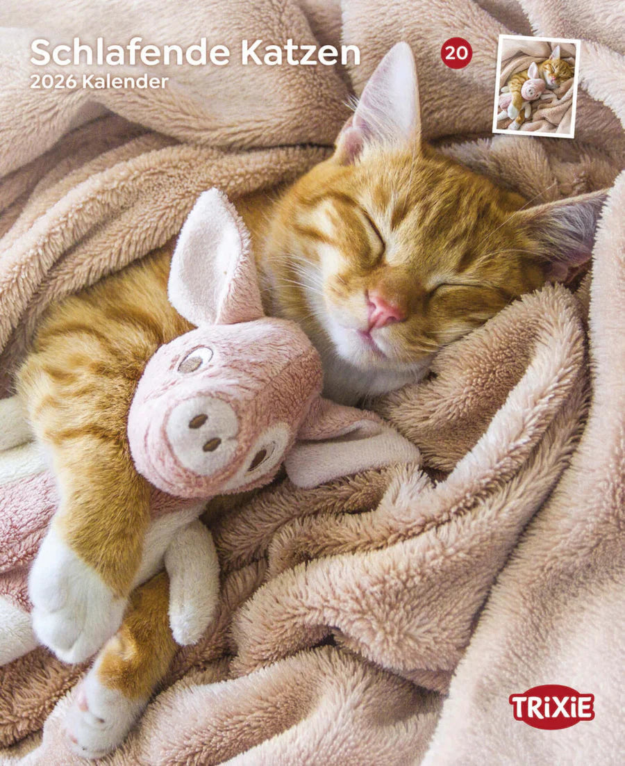 Kalender Schlafende Katzen