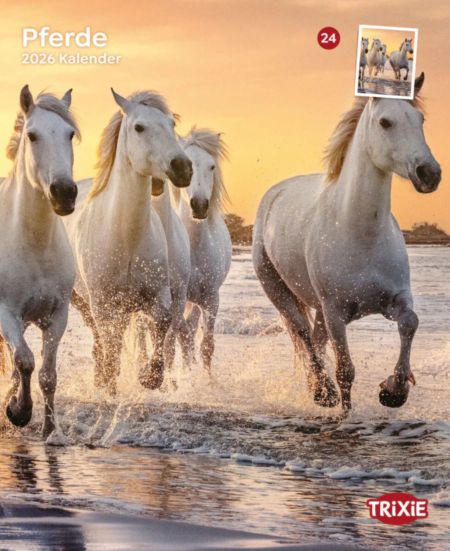 Kalender Pferde