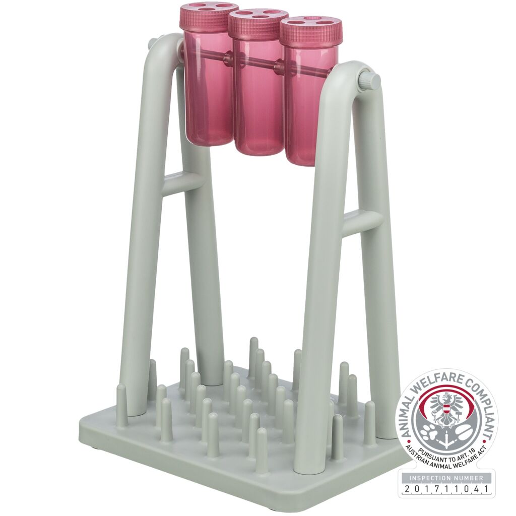 Cat Activity Strategie-Spiel Turn Around