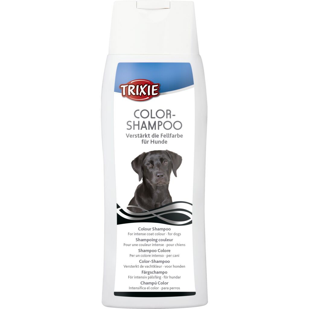 Color-Shampoo, schwarz