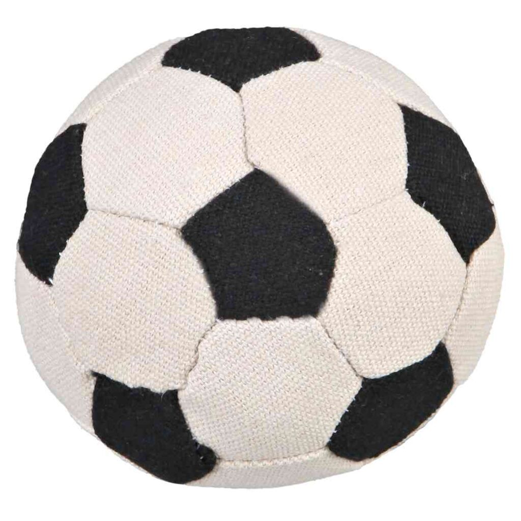 Soft-Soccer-Ball, Canvas