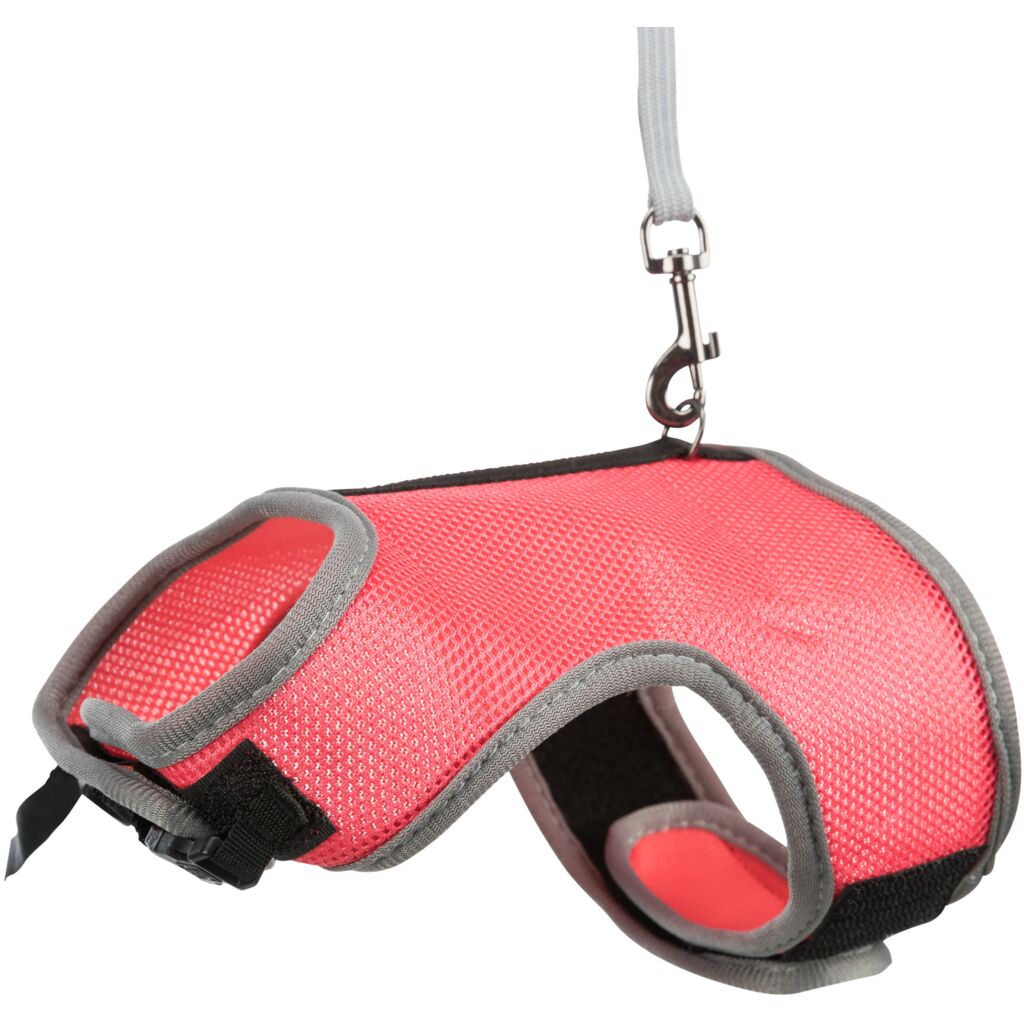 Softgeschirr mit Leine, große Kaninchen