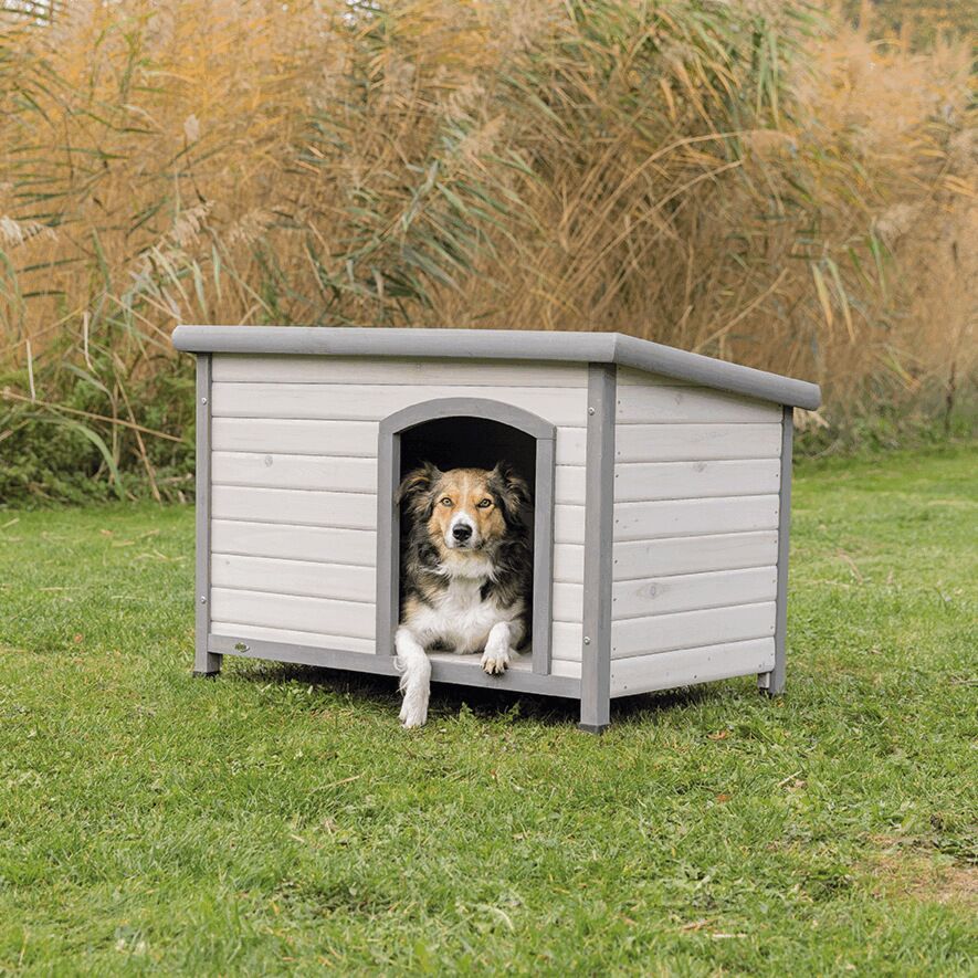 natura Hundehütte Classic Flachdach