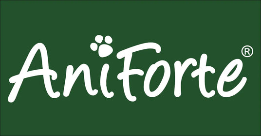 aniforte-logo