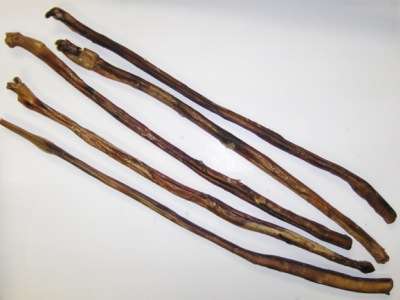 Ochsenziemer, 70-80cm