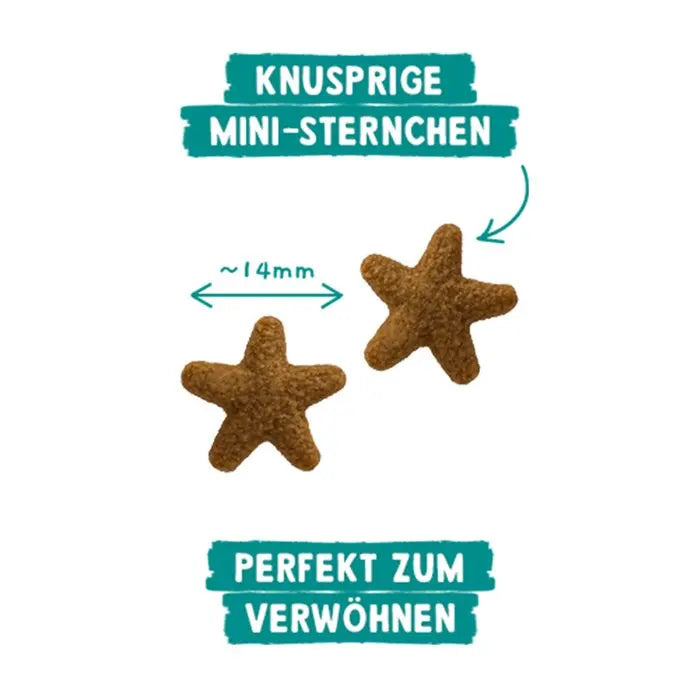 Sanabelle Sternstunde