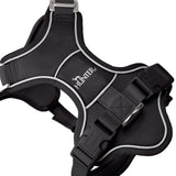 Hunter Geschirr Divo Up schwarz