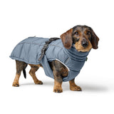 Hunter Mantel Paxson Dachshund taubenblau