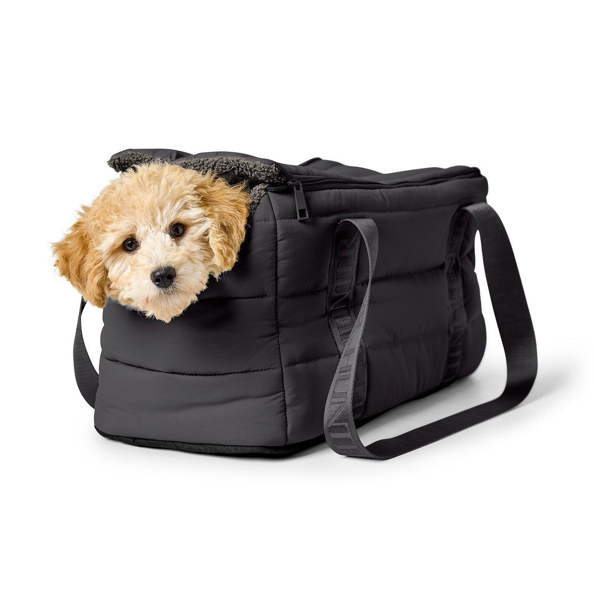Hunter 2-in-1 Hunde-Tragetasche und Decke Seoul 45 x 22 x 24 cm, schwarz
