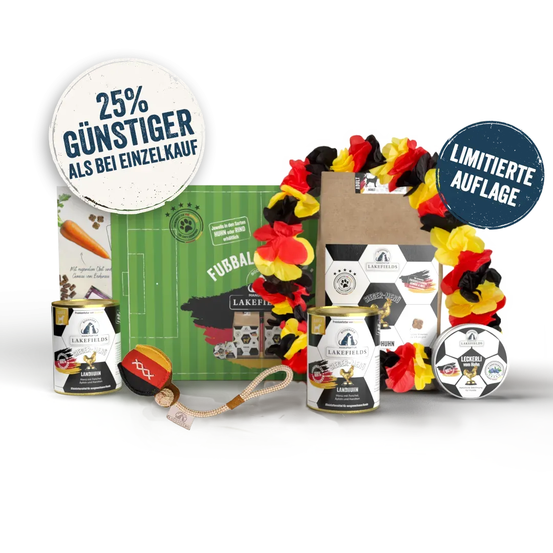 Lakefields Fußball-Box Huhn