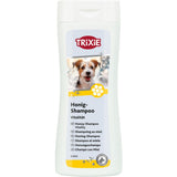 Honig-Shampoo