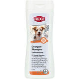 Orangen-Shampoo