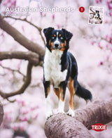 Kalender Australian Shepherds