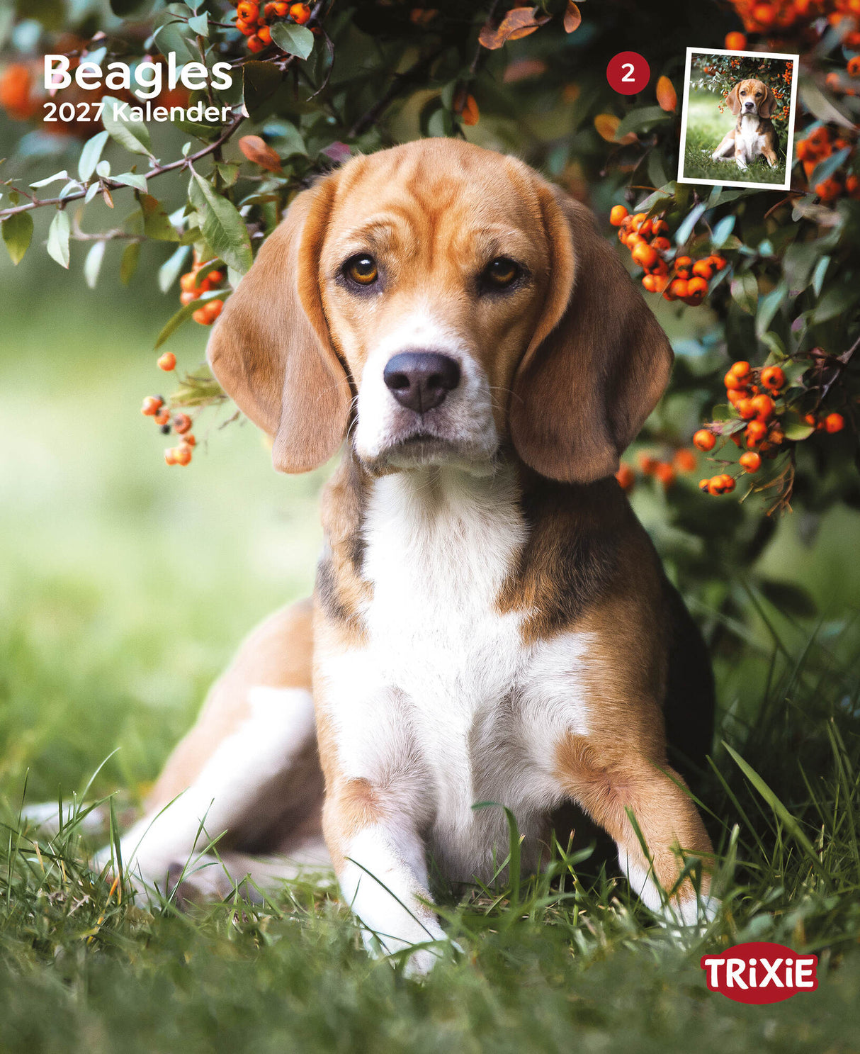 Kalender Beagles 2027