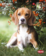Kalender Beagles 2027