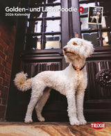 Kalender Golden- und Labradoodle