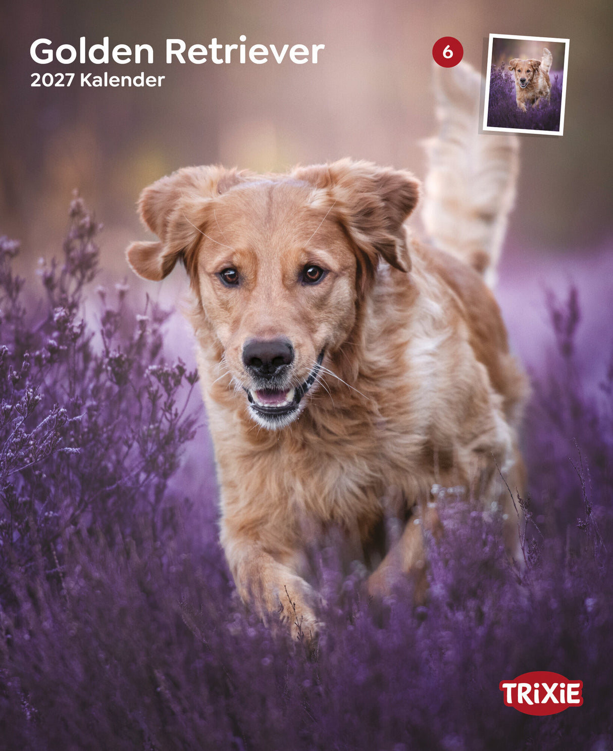 Kalender Golden Retriever 2027