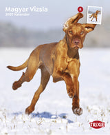 Kalender Magyar Vizsla 2027