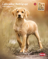 Kalender Labrador Retriever