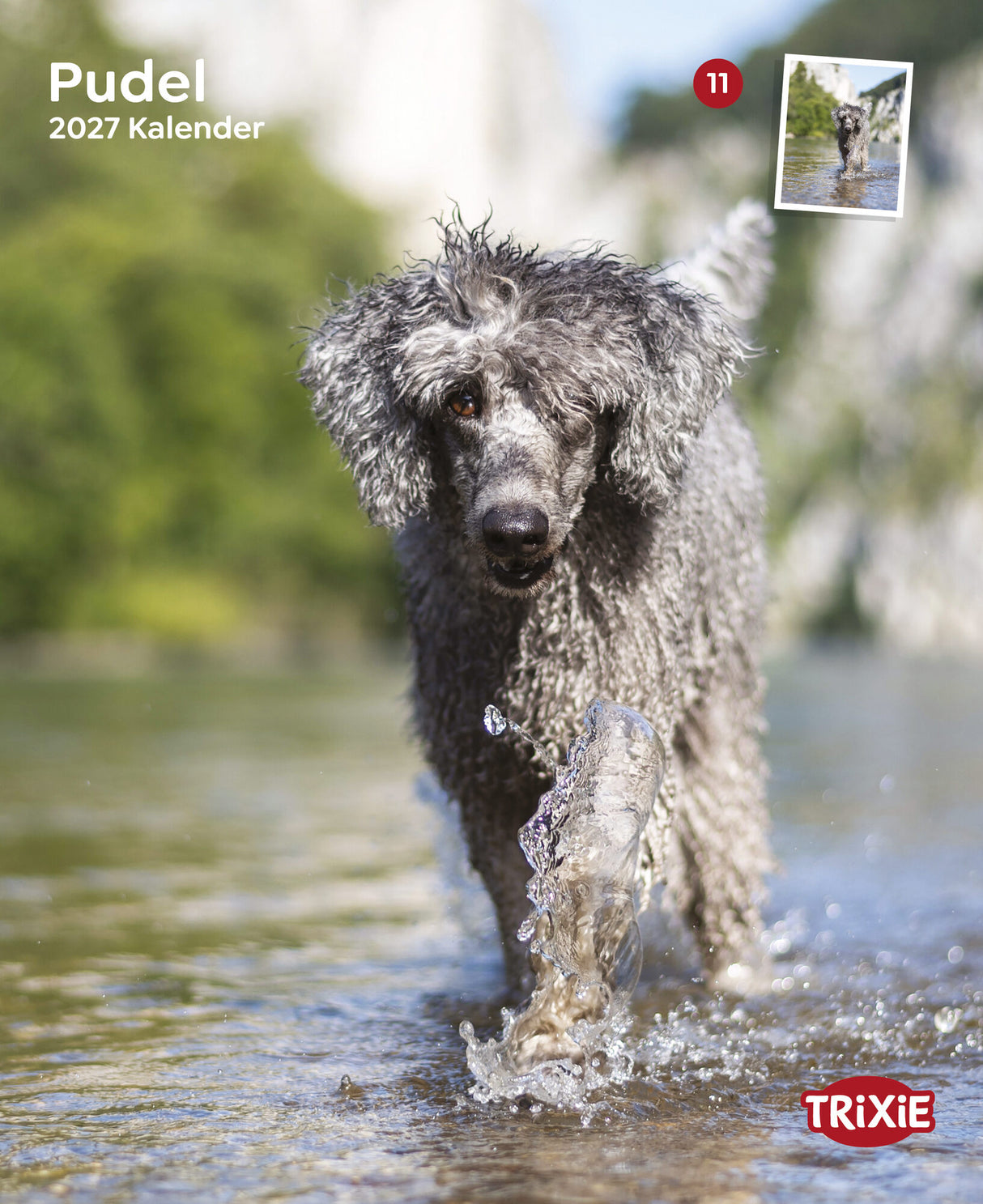 Kalender Pudel 2027