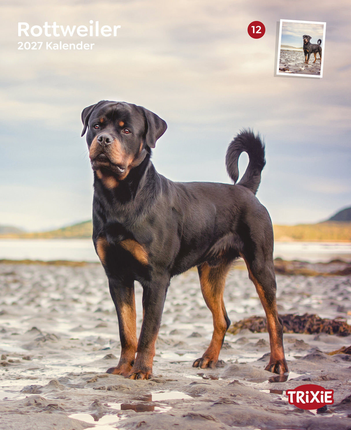 Kalender Rottweiler 2027