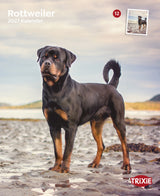 Kalender Rottweiler 2027