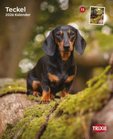 Kalender Teckel
