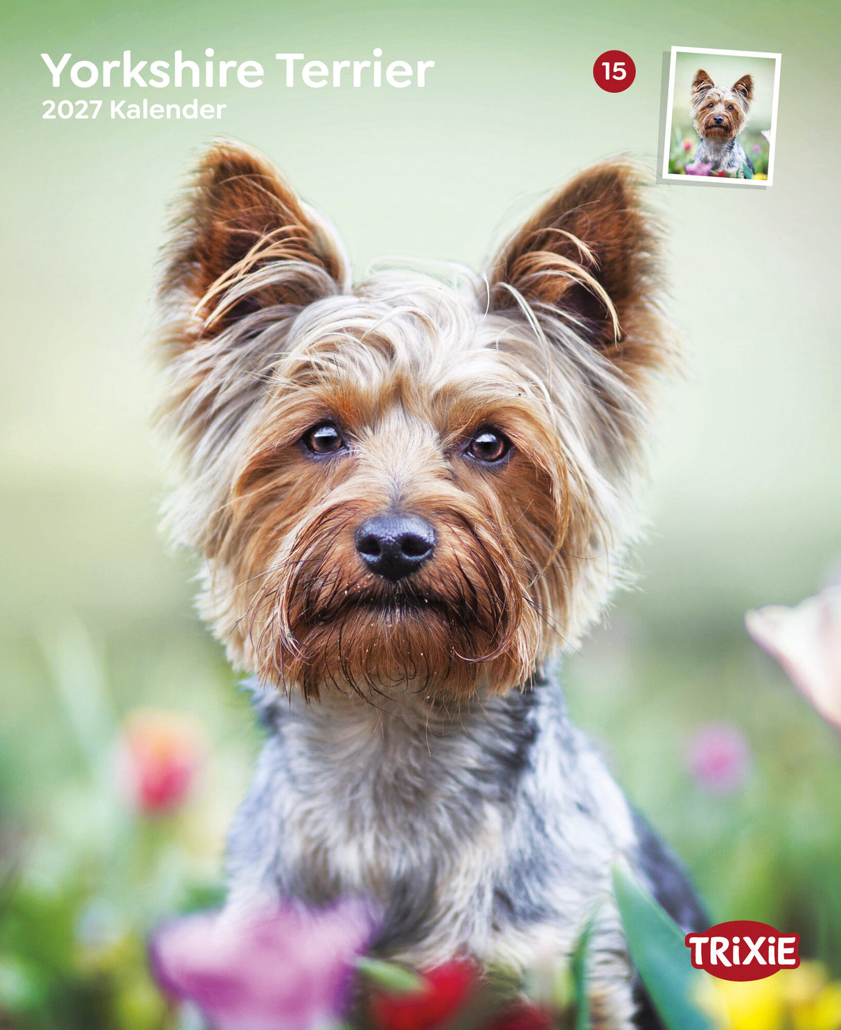 Kalender Yorkshire Terrier 2027