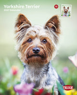Kalender Yorkshire Terrier 2027