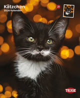 Kalender Kätzchen