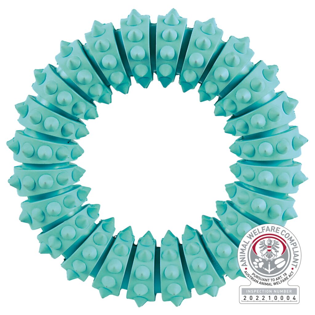 Denta Fun Ring, Minzgeschmack, Naturgummi