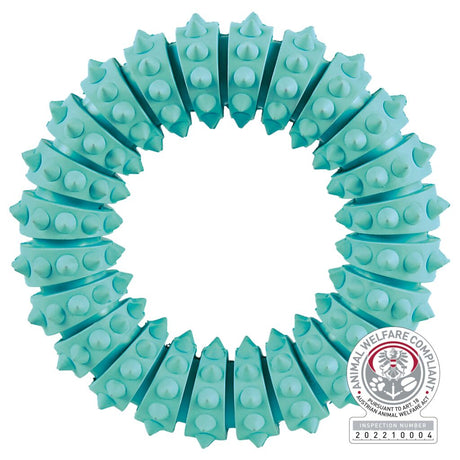 Denta Fun Ring, Minzgeschmack, Naturgummi