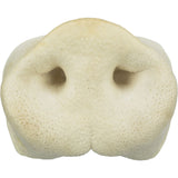 Schweinenase, getrocknet