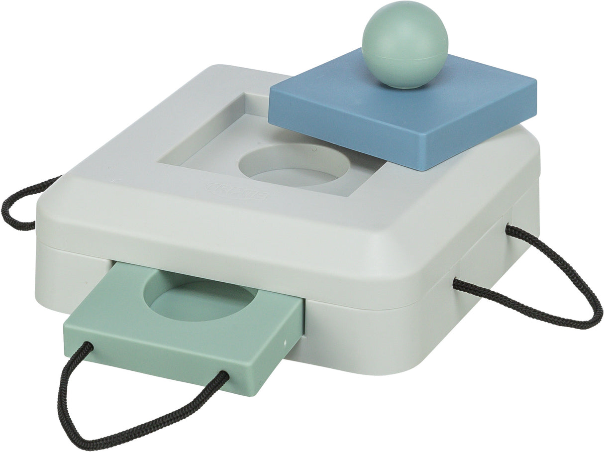 Dog Activity Strategie-Spiel Gamble Box