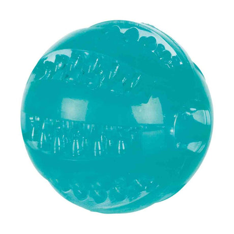 Denta Fun Ball, Minzgeschmack, TPR