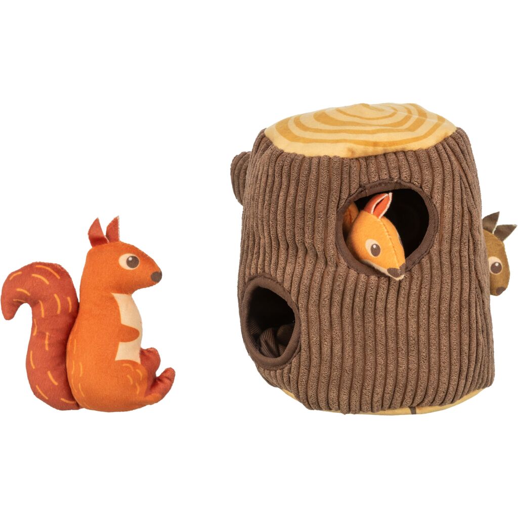 Baumstumpf mit Eichhörnchen