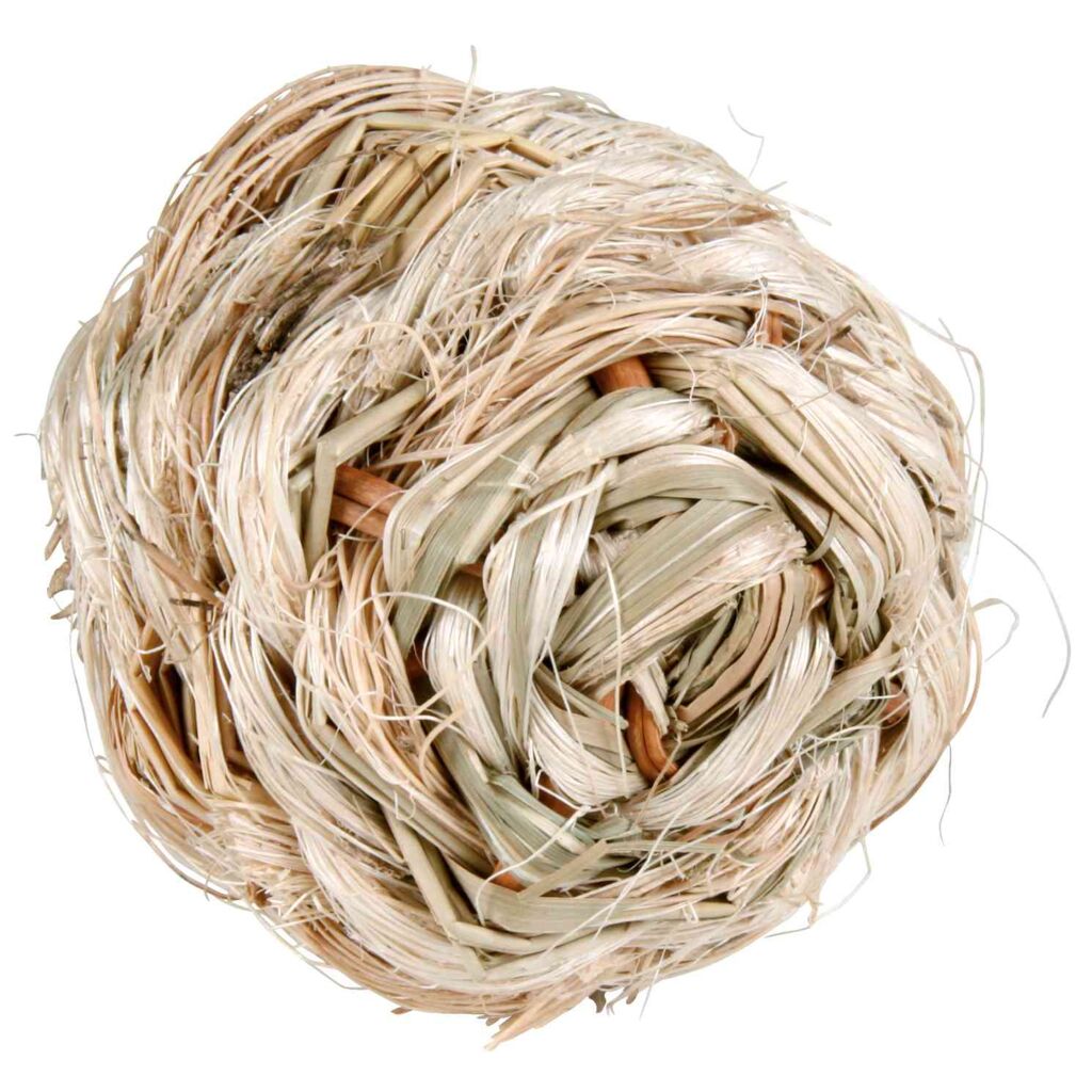 Ball mit Schelle, Gras