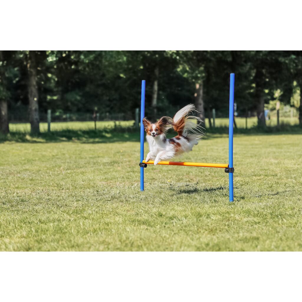 Fun Agility Hürde, Kunststoff