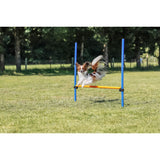 Fun Agility Hürde, Kunststoff