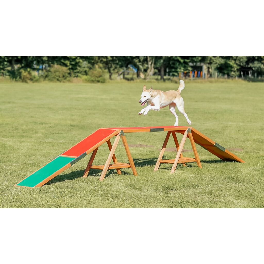 Fun Agility Steg