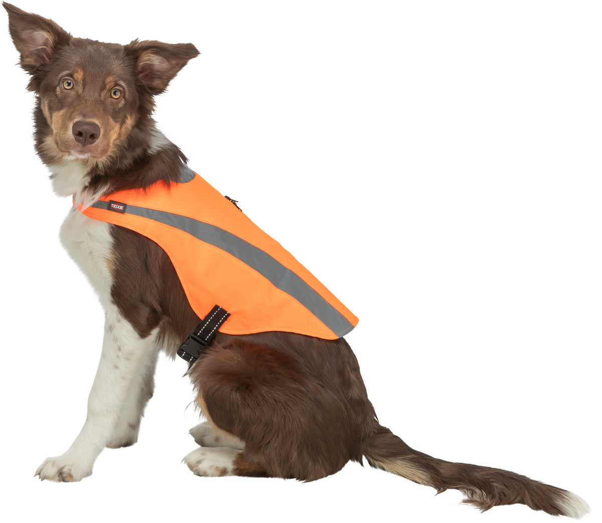 Sicherheitsweste für Hunde mit Bauchgurt und Reißverschluss am Rücken
