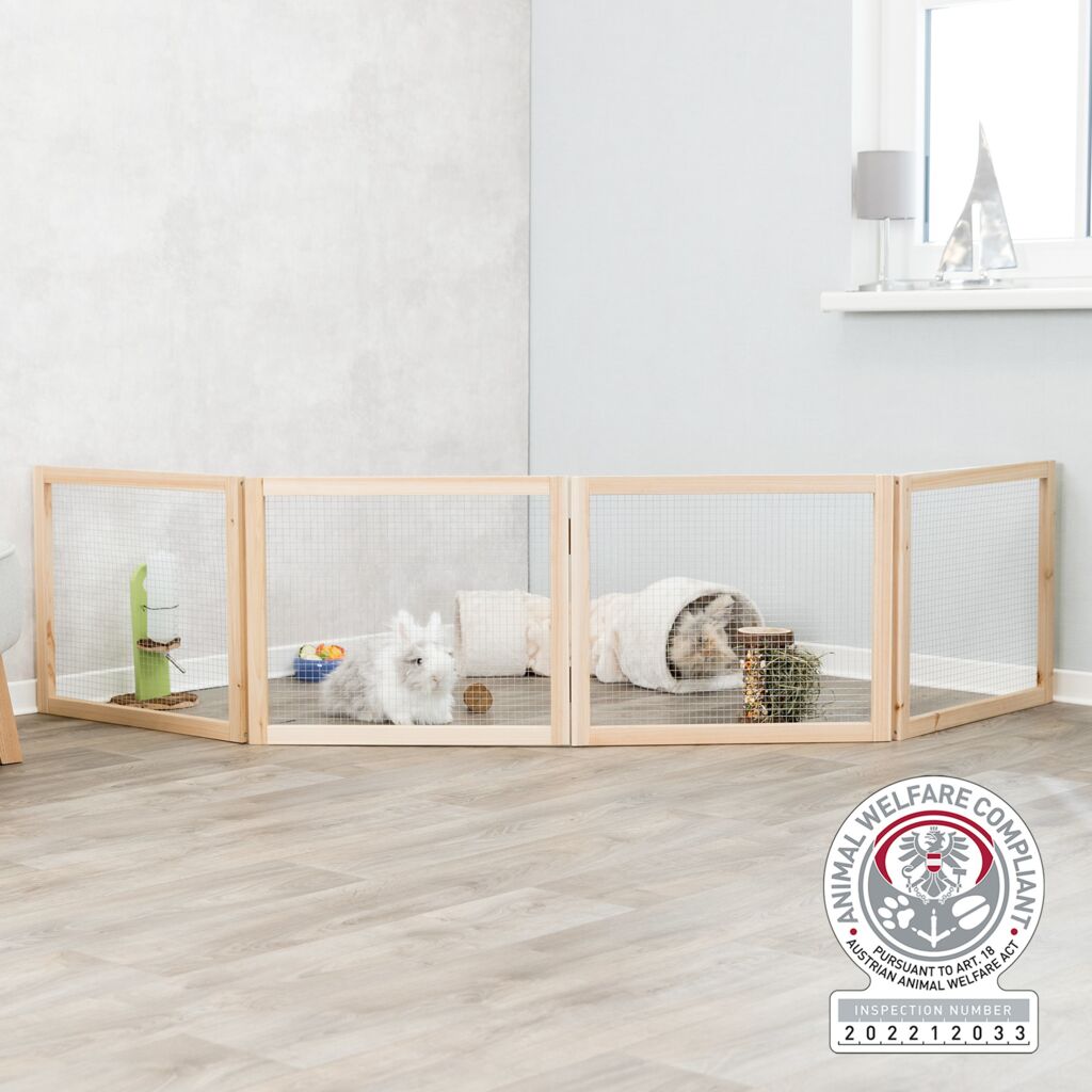 Indoor Freilaufgehege, Zwergkaninchen