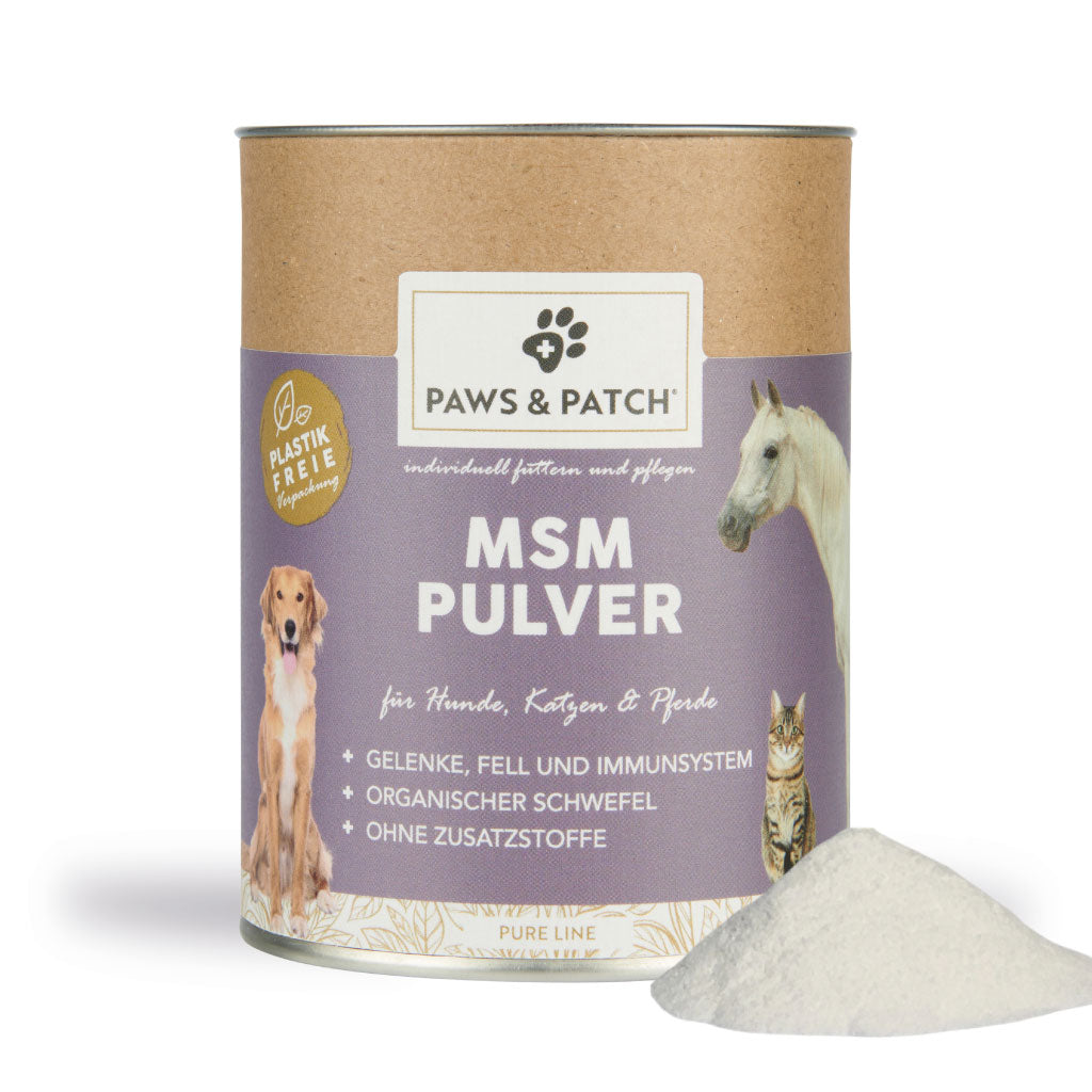 Paws & Patch MSM Pulver für Hunde, Katzen und Pferde