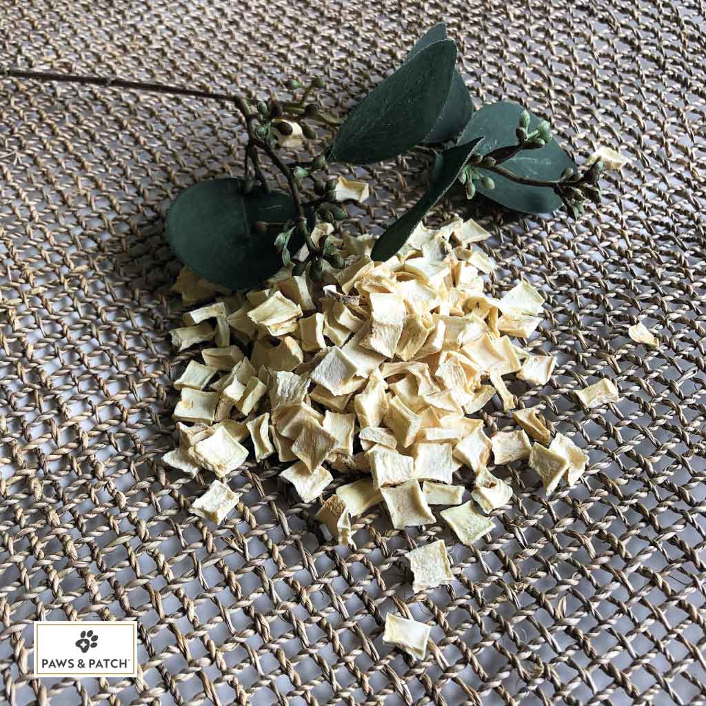 Paws & Patch PASTINAKENFLOCKEN für Hunde